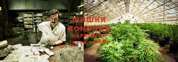 каннабис Волоколамск