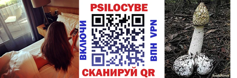 как найти закладки  Юрьевец  Псилоцибиновые грибы ЛСД 